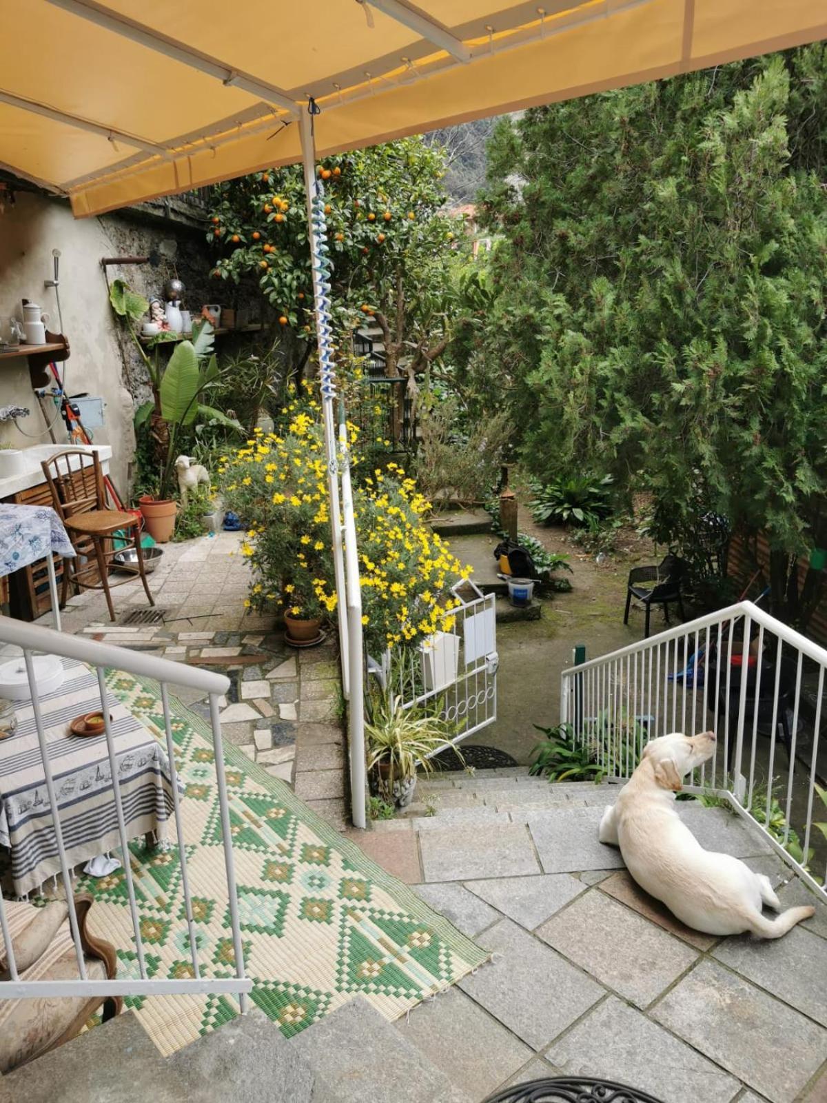 Itaca Hotel Varazze Buitenkant foto